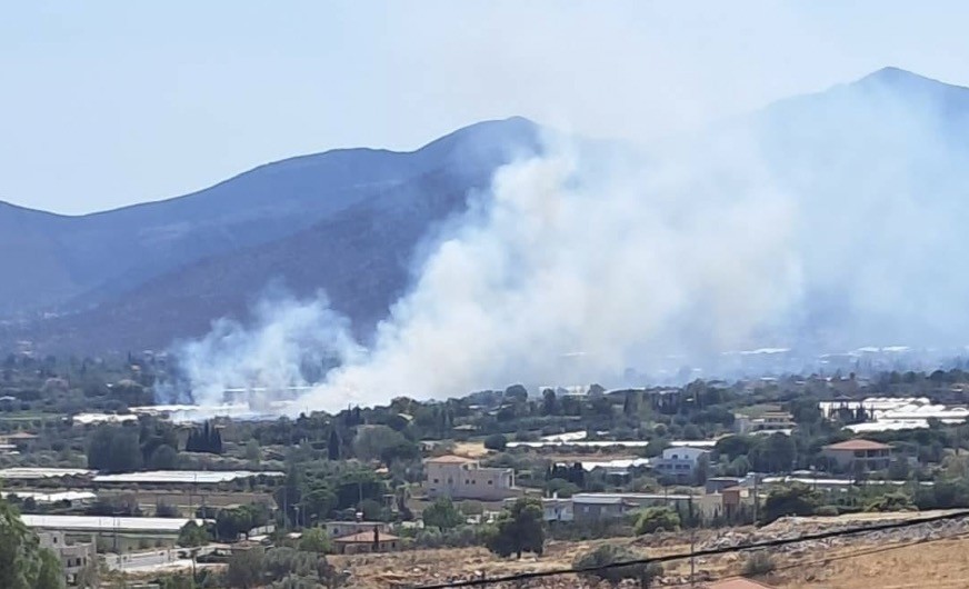 Φωτιά τώρα στον Μαραθώνα Αττικής